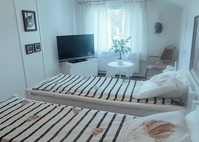 Lumi 로바니에미